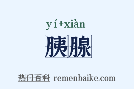 胰腺是什么意思的图片